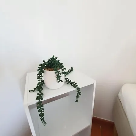 Do Moinho Acesso A Piscina Apartment Albufeira